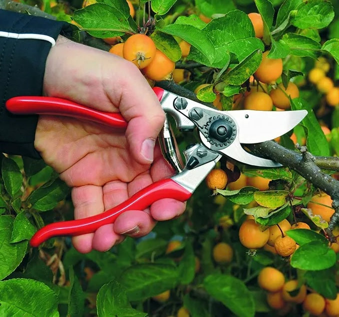 Pruning Shears F9