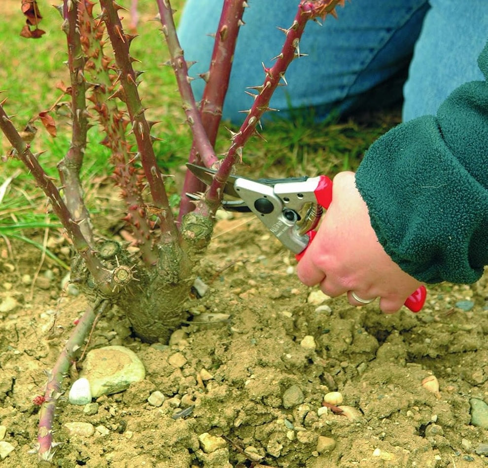 Pruning Shears F10