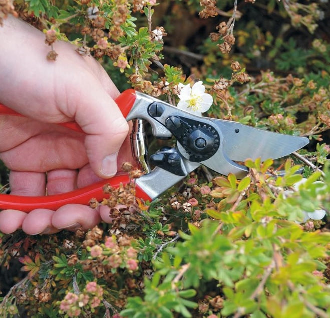 Pruning Shears F9