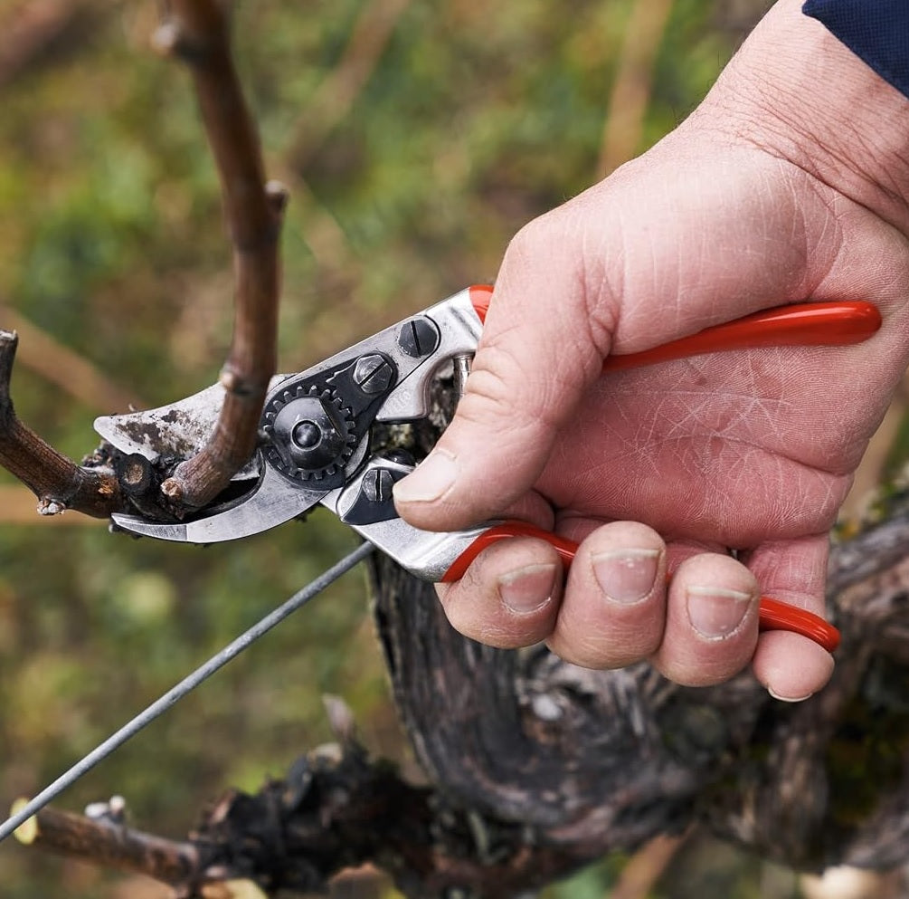 Pruning Shears F14