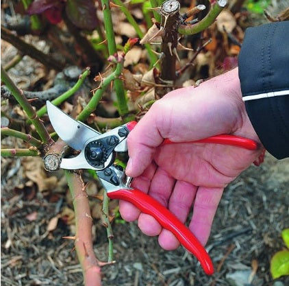 Pruning Shears F11