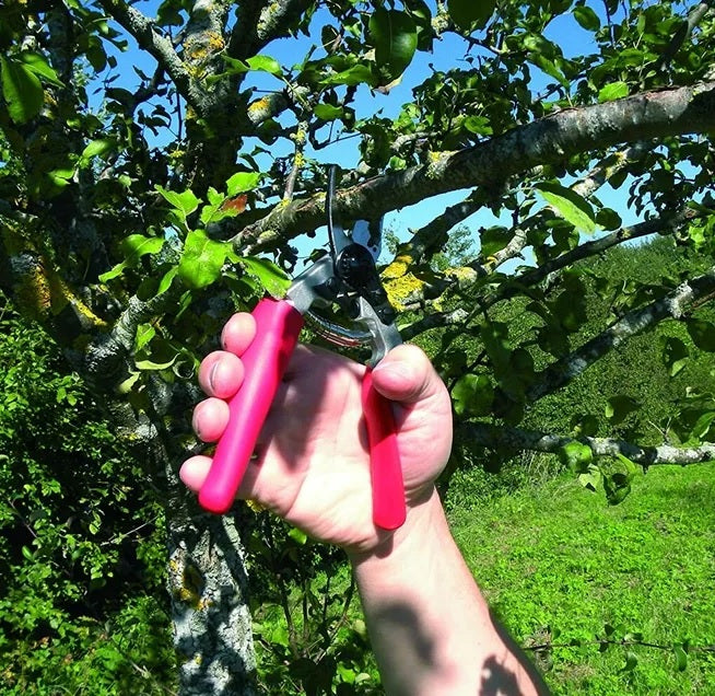 Pruning Shears F12