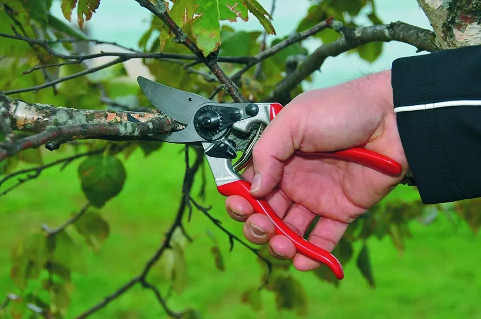 Pruning Shears F8