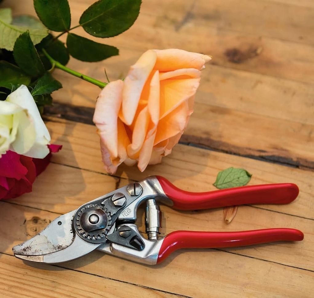 Pruning Shears F14