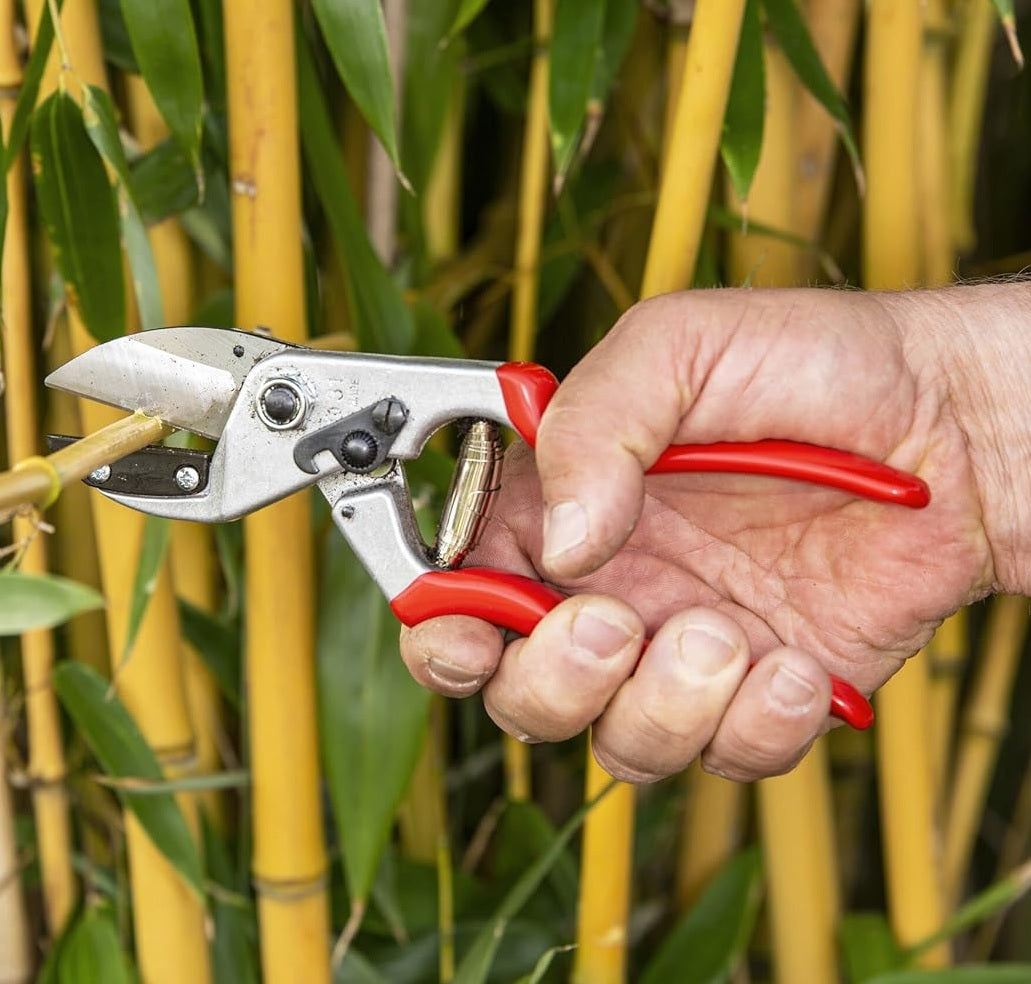 Pruning Shears F31