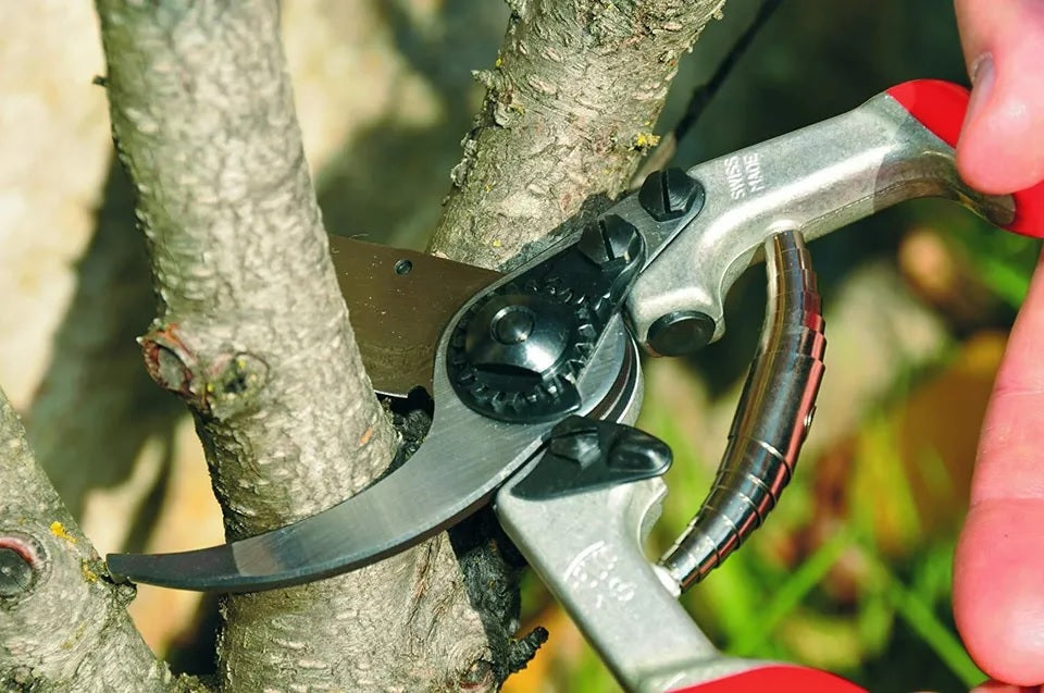 Pruning Shears F13