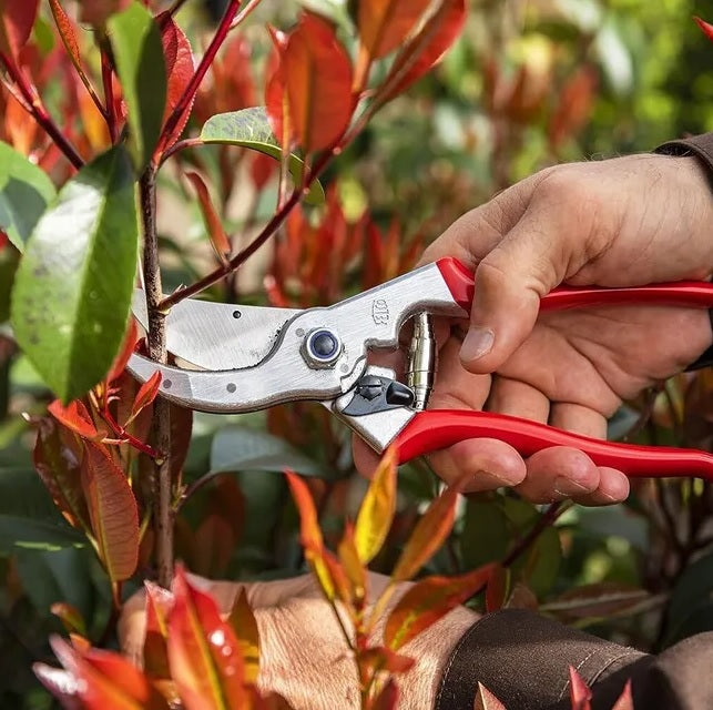 Pruning Shears F4