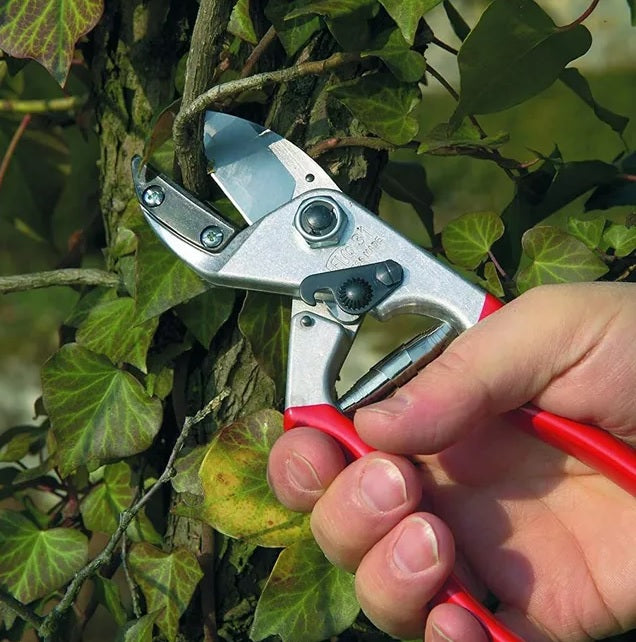 Pruning Shears F31