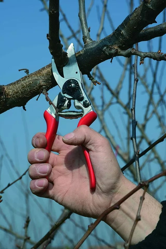 Pruning Shears F8